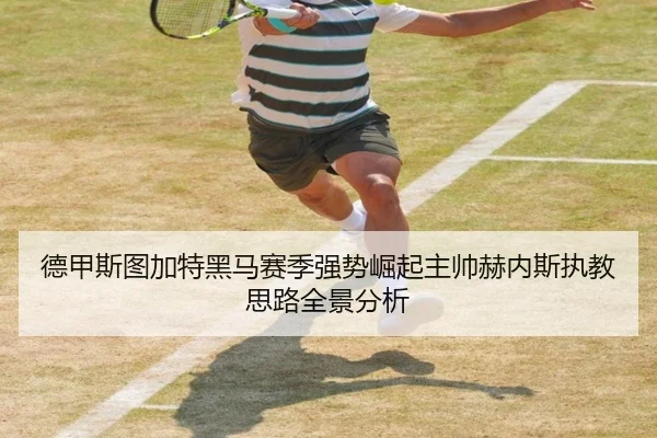 德甲斯图加特黑马赛季强势崛起主帅赫内斯执教思路全景分析