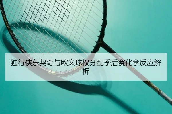 独行侠东契奇与欧文球权分配季后赛化学反应解析